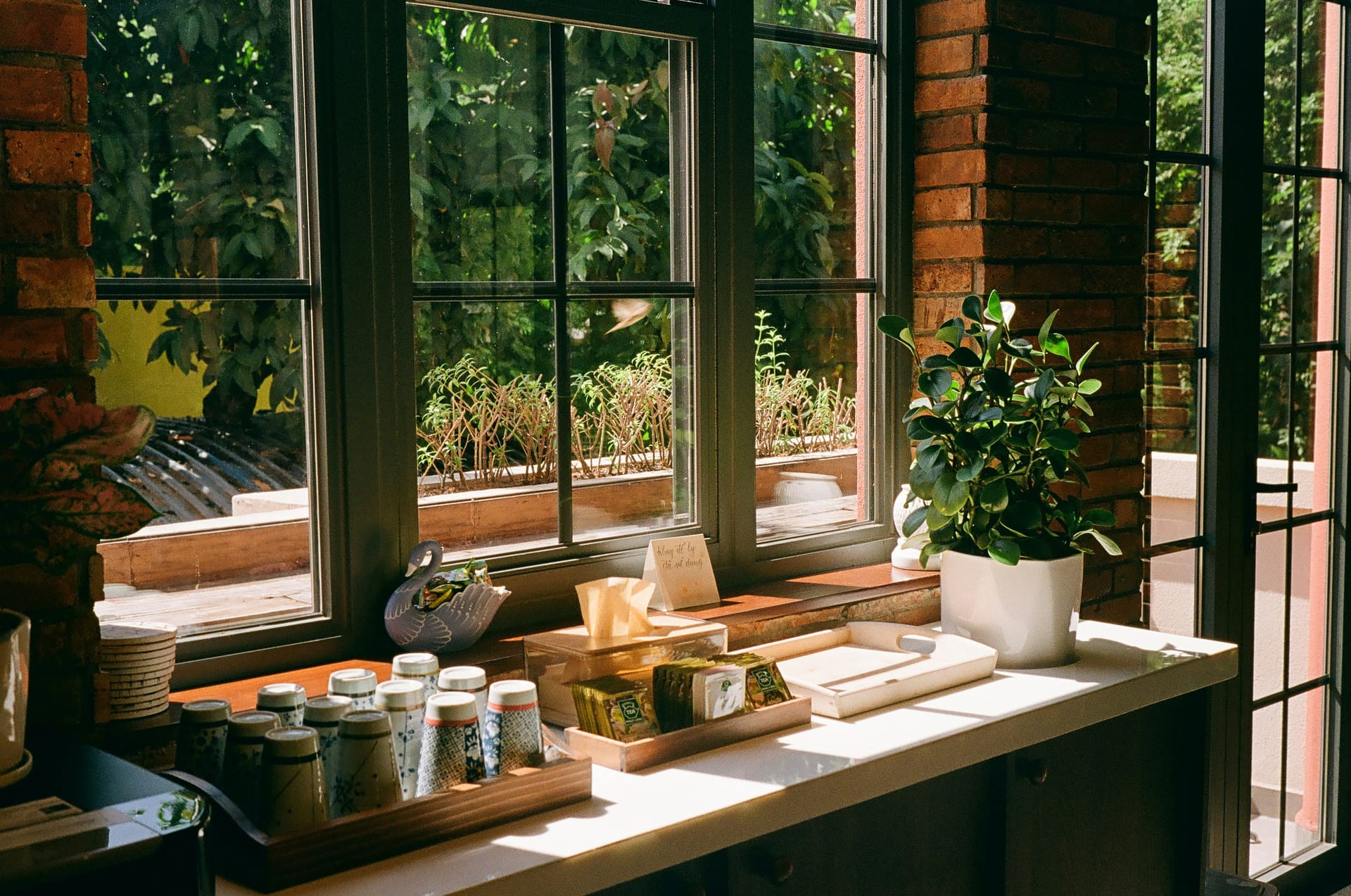 A kitchen counter with a potted plant adding life to the space