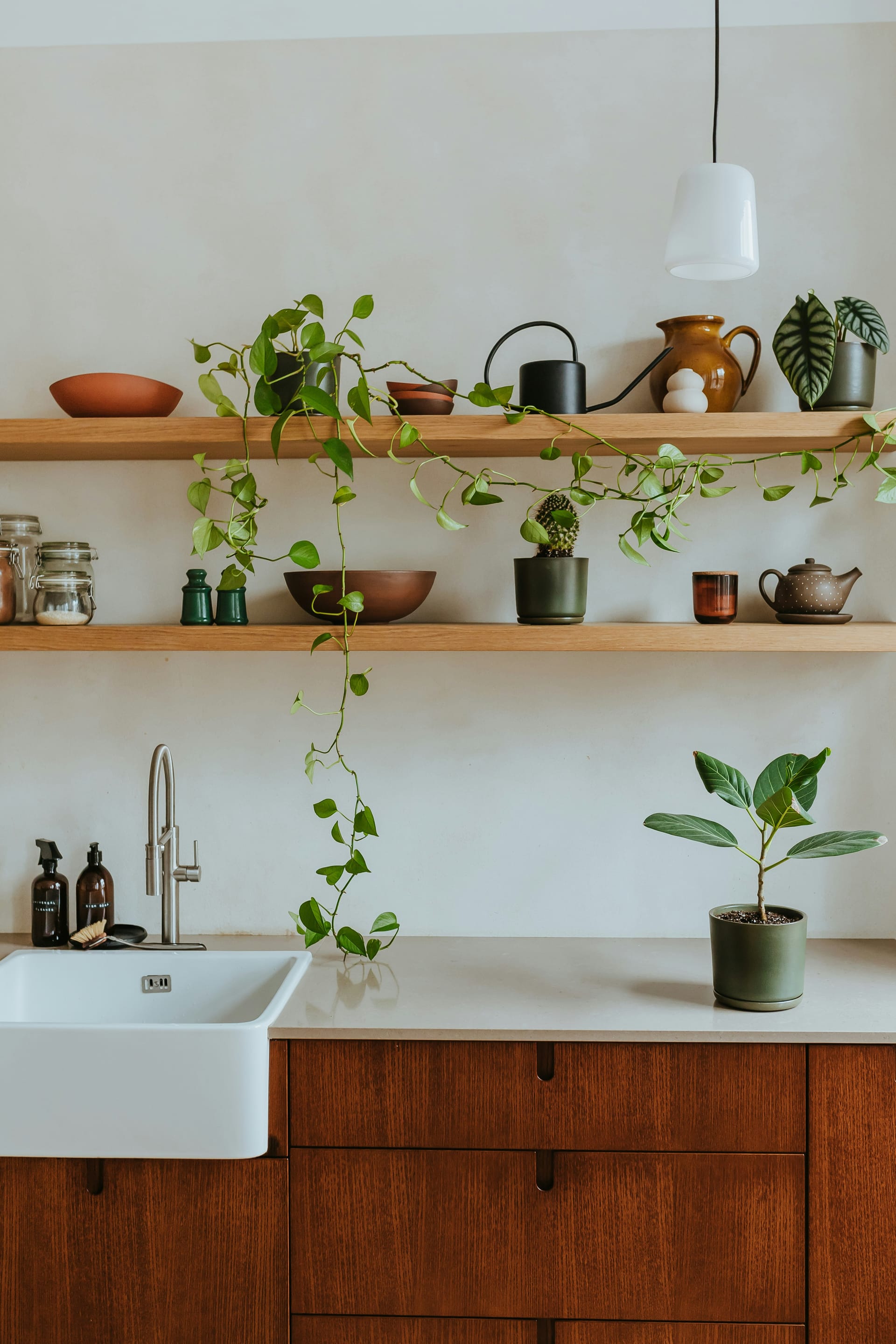 A kitchen with a sink and shelves filled with plants